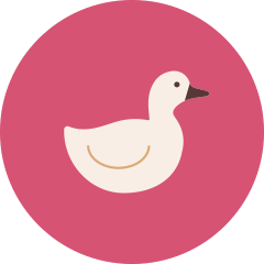 Premium pro icon