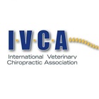 International Veterinary Chiropractic Association (IVCA)