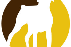 Request Quote: Downtown Dogs Chicago - Dog Trainer - Chicago, IL