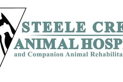 Request Quote: Steele Creek Veterinarian - Charlotte, NC