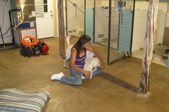 Request Quote: Blanco Kountry Kennels - Your Pet's Favorite Place To Be - Spring Branch, TX