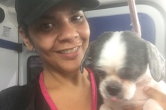 Request Quote: Compassionate Expert Mobile Pet Grooming At Your Door  - Port Jervis, NY