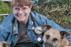 Request Quote: Holly Dain In Home Pet Sitter - Franklin Park, IL