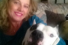 Request Quote: Pet Care by Sherri - Professional Pet Sitter - Orlando, FL