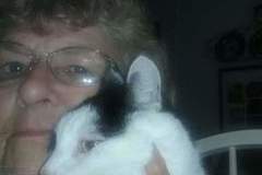 Request Quote: Linda G.'s  Pet and House Sitting - Palmetto, FL