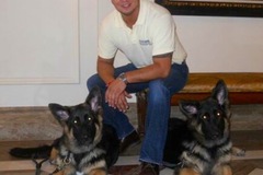 Request Quote: Certified Dog Trainer - Private In Home K9 Training - Miami, FL