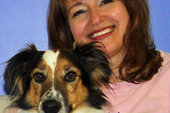 Request Quote: North Star Canines In Home Dog Trainer and Behaviorist - Danbury, CT