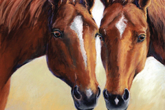 Request Quote: Animal Pet Portraits in Pastel by Carol Santora - Nationwide