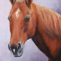Animal Pet Portraits in Pastel by Carol Santora - Lyman, ME