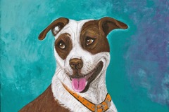 Request Quote: Whimsical & Colorful Pet Portraits in Variety of Mediums - Baltimore, MD