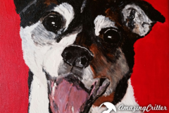 Request Quote: Customized Painted Pet Portraits - Phoenix, AZ - Nationwide