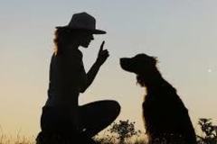 Request Quote: Whole Pooch Pet Boarding and Dog Training  - Austin, TX