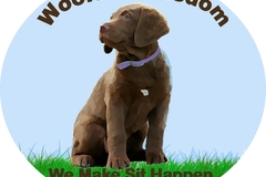 Request Quote: Woofs of Wisdom Certified Dog Trainer  - Skippack, PA