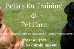 Request Quote: Bella's K9 - Pet Sitting Services and more - Rochester, NY