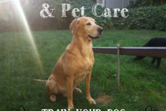 Request Quote: In Home Dog Training & Behavior Modification - Rochester, NY