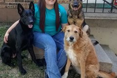 Request Quote: We're Here To Help You - Private Dog Training - Grain Valley, MO
