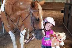 Request Quote: Horseback Riding Lessons and Horse Boarding  - Derby, KS