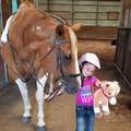 Horseback Riding Lessons and Horse Boarding  - Derby, KS
