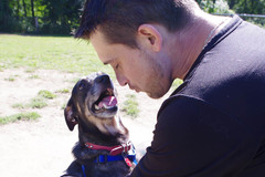 Request Quote: The Happiest Dogs In Home Pet Sitting  - Redding, CT