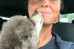 Request Quote: Polly - Professional Pet Sitter and Dog Walker - Louisville, KY