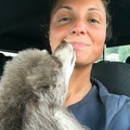 Polly - Professional Pet Sitter and Dog Walker - Louisville, KY