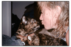 Request Quote: Lisa Larson: Pawstalk Animal Communication and Pet Reiki - Nationwide