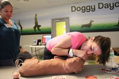 Request Quote: Pet CPR & First Aid Certification Class- West Palm Beach, FL - Nationwide