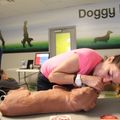 Pet CPR & First Aid Certification Class- West Palm Beach, FL