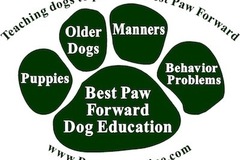 Request Quote: Best Paw Forward - Private Dog Training - Fuquay-Varina, NC