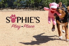 Request Quote: Sophie's Play Place - Dog Sitting and Boarding - Los Angeles, CA