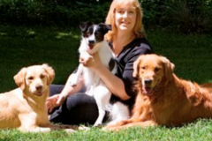 Request Quote: Behavior Consultation - Private Dog Training - Montpelier, VA