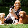 Behavior Consultation - Private Dog Training - Montpelier, VA
