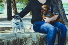 Request Quote: Sara's In Home Pet Sitter Services - San Antonio, TX