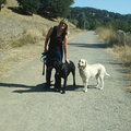 Bridewell Hilltop Kennels - Dog and Cat Boarding  - Novato, CA