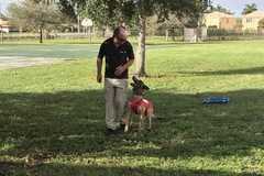 Request Quote: Sit Means Sit Palm Beach - Private Dog Training - Boynton Beach, FL