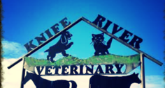 Request Quote: Knife River Veterinary Clinic - Beulah, ND