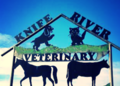 Knife River Veterinary Clinic - Beulah, ND