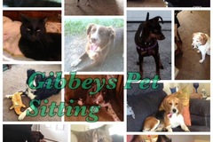 Request Quote: Gibbeys House and Pet Sitting Services - Romulus, MI