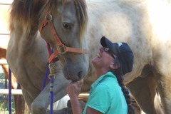 Request Quote: Flow for Horses℠ Equine Bodywork - Horse Massage - Colton, OR
