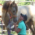 Flow for Horses℠ Equine Bodywork - Horse Massage - Colton, OR