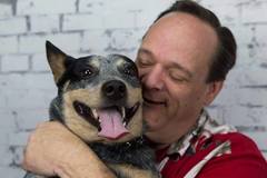 Request Quote: APB Dog Training - Tomah, WI