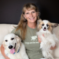 Estate Planning for Pets - Pet Law Services - Oviedo, FL