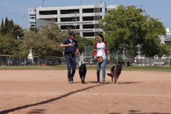 Request Quote: Rip's Dog Training - In Home and Private K9 Trainer - Conway, SC