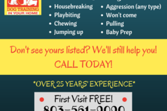 Request Quote: Private Dog Training In Your Home  - Columbia, SC