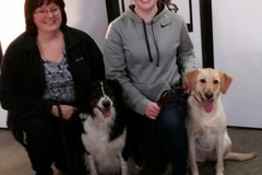 Request Quote: Personal Family Dog Trainer  - Viola, IL
