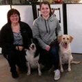 Personal Family Dog Trainer  - Viola, IL