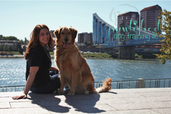 Request Quote: Pawlished In Home Dog Training  - Norwood, OH
