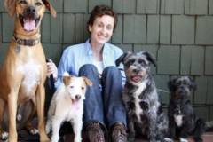 Request Quote: Excellent & Reliable Dog Walking & Pet Sitting - Los Angeles - Los Angeles, CA