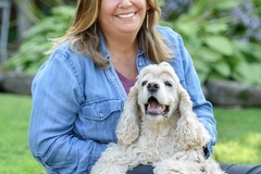 Request Quote: In Home Dog Sitting and Dog Training - South Windsor, CT