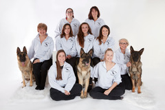 Request Quote: Champion Kennels - Pet Boarding Care - Sterling, MA